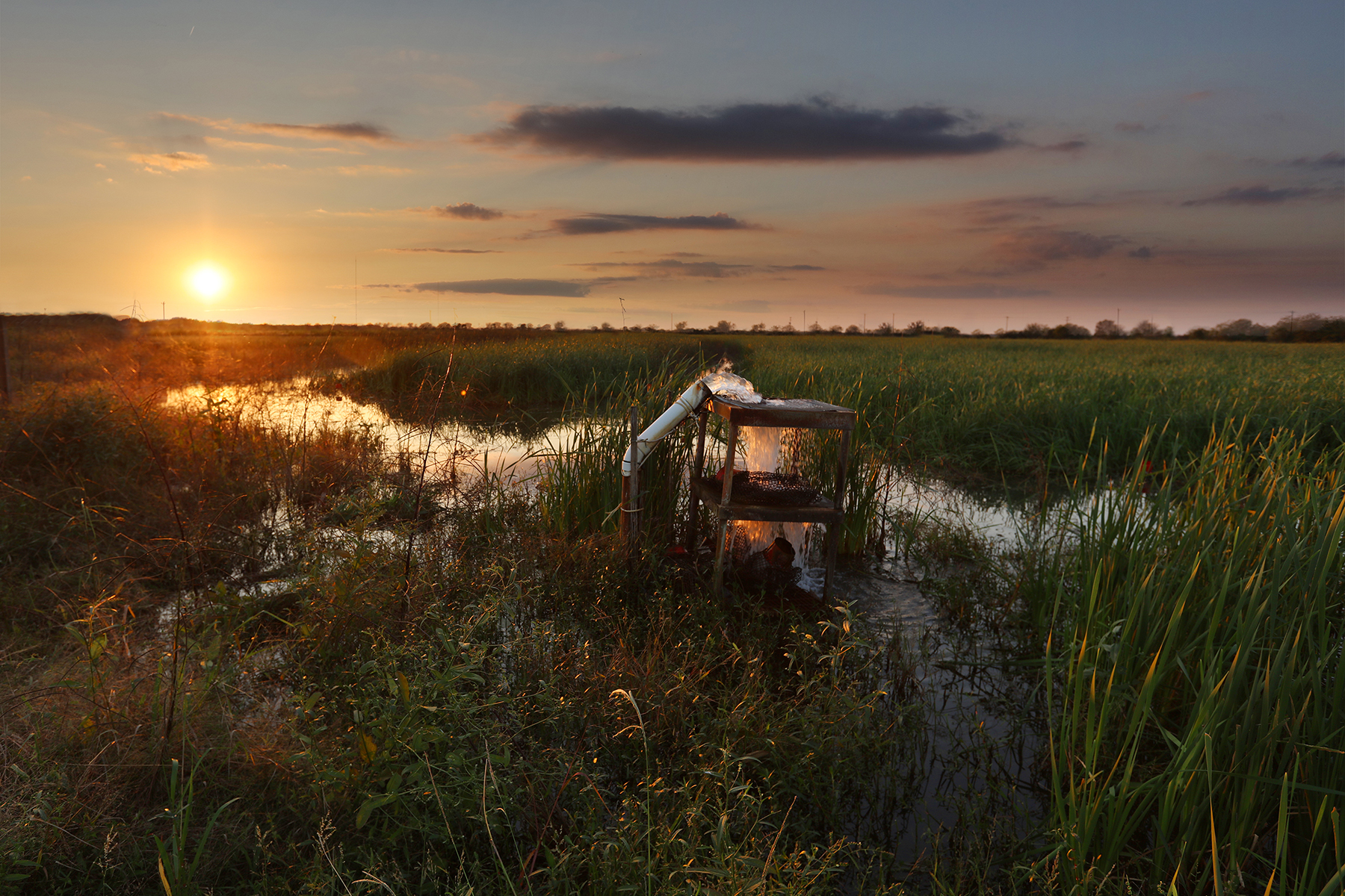 Spotlight on the Town of Kaplan, Vermilion Parish, Louisiana Sunrise