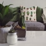Gray sofa with plants on table