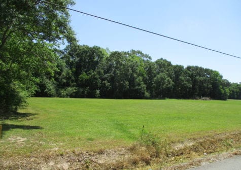 Grosse Isle Road, Abbeville, LA -Lot 1 of Country Row Subdivision