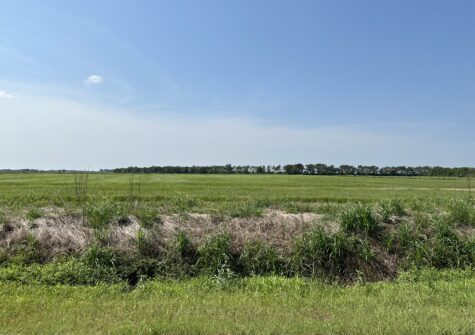 Junius Road, Abbeville, LA – 24.504 Acres+- UNDER CONTRACT