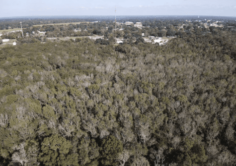 Port Street, Abbeville, LA (21.66 acres+-) UNDER CONTRACT