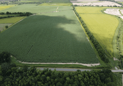 Dalton Road, Kaplan, LA – 19.914 Acres+-