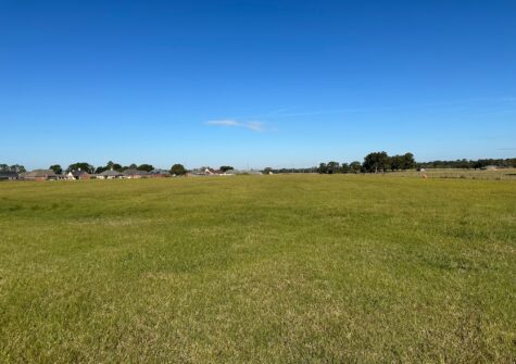 Wildcat Drive & La Hwy 338, Abbeville, LA – 16.73 Acres+-