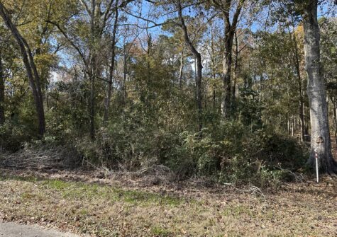 Hoffpauir Road, Gueydan, LA = 4.466 Acres+-