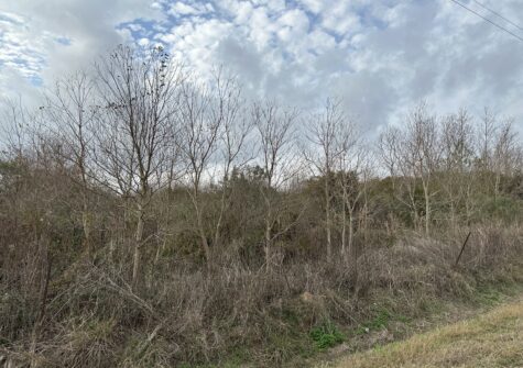 Bourque Road, Gueydan, LA = 4.2 Acres+-